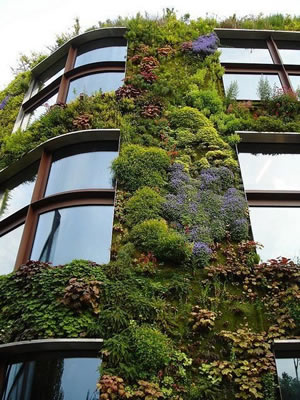 branly_plant_wall